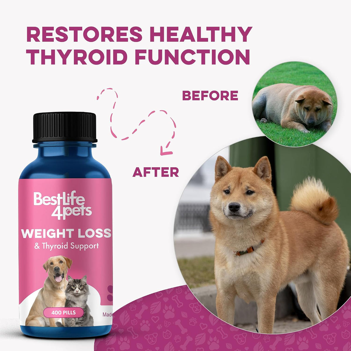 Weight Management for Dogs and Cats Natural Thyroid Support – Gentle Metabolism Booster to Restore Vitality in Senior or Sluggish Pets – 400 Tiny Tasteless Pills – Help Manage Weight, Appetite, and Energy - görsel 4