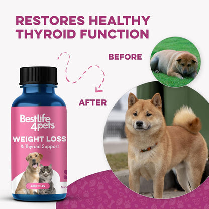 Weight Management for Dogs and Cats Natural Thyroid Support – Gentle Metabolism Booster to Restore Vitality in Senior or Sluggish Pets – 400 Tiny Tasteless Pills – Help Manage Weight, Appetite, and Energy