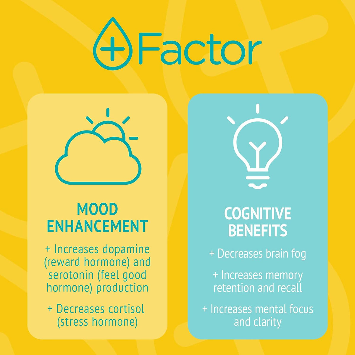 Plus Factor Cellular Boost Complex – 3% USP Grade Methylene Blue & Silver Nano Particles – Brain Focus & Improved Memory – Mitochondria Booster – Boost Oxygen – Produce More Energy - görsel 5