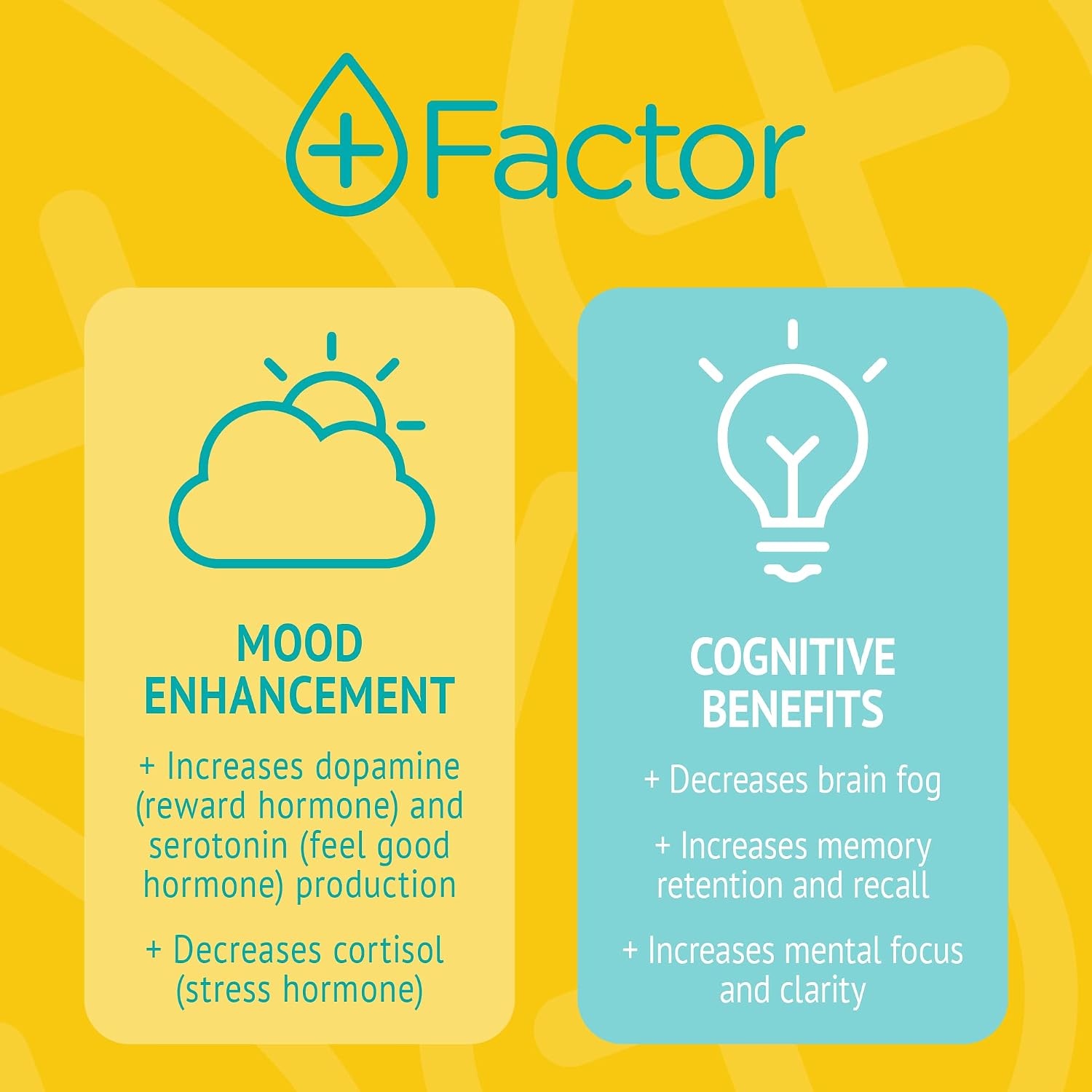 Plus Factor Cellular Boost Complex – 3% USP Grade Methylene Blue & Silver Nano Particles – Brain Focus & Improved Memory – Mitochondria Booster – Boost Oxygen – Produce More Energy - görsel 5