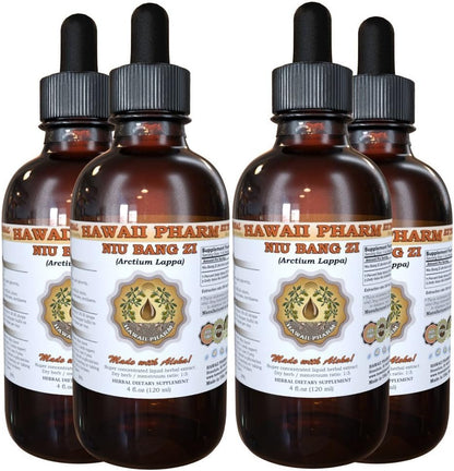 HawaiiPharm Niu Bang Zi (Burdock Seed) Tincture - 2 x 946 ml