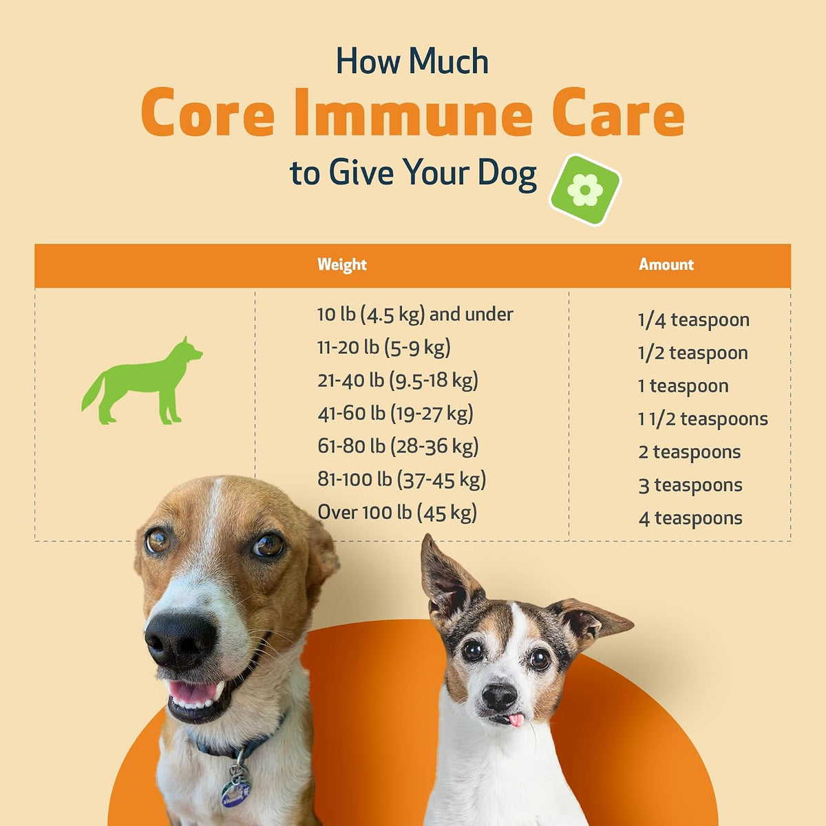 Pet Wellbeing Core Immune Care for Dogs - Daily Antioxidant Support Powder (105g) - görsel 7