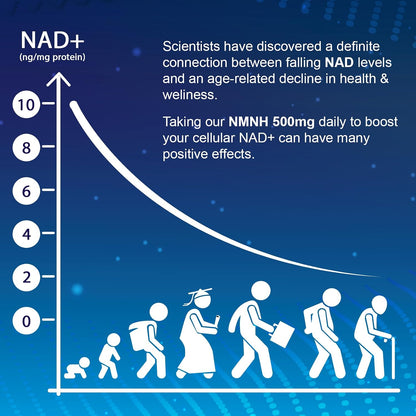 Ucessuyy NMNH (Dihydronicotinamide Mononucleotide) – NAD+ Booster for Healthy Ageing, Energy & Focus – 120 Capsules