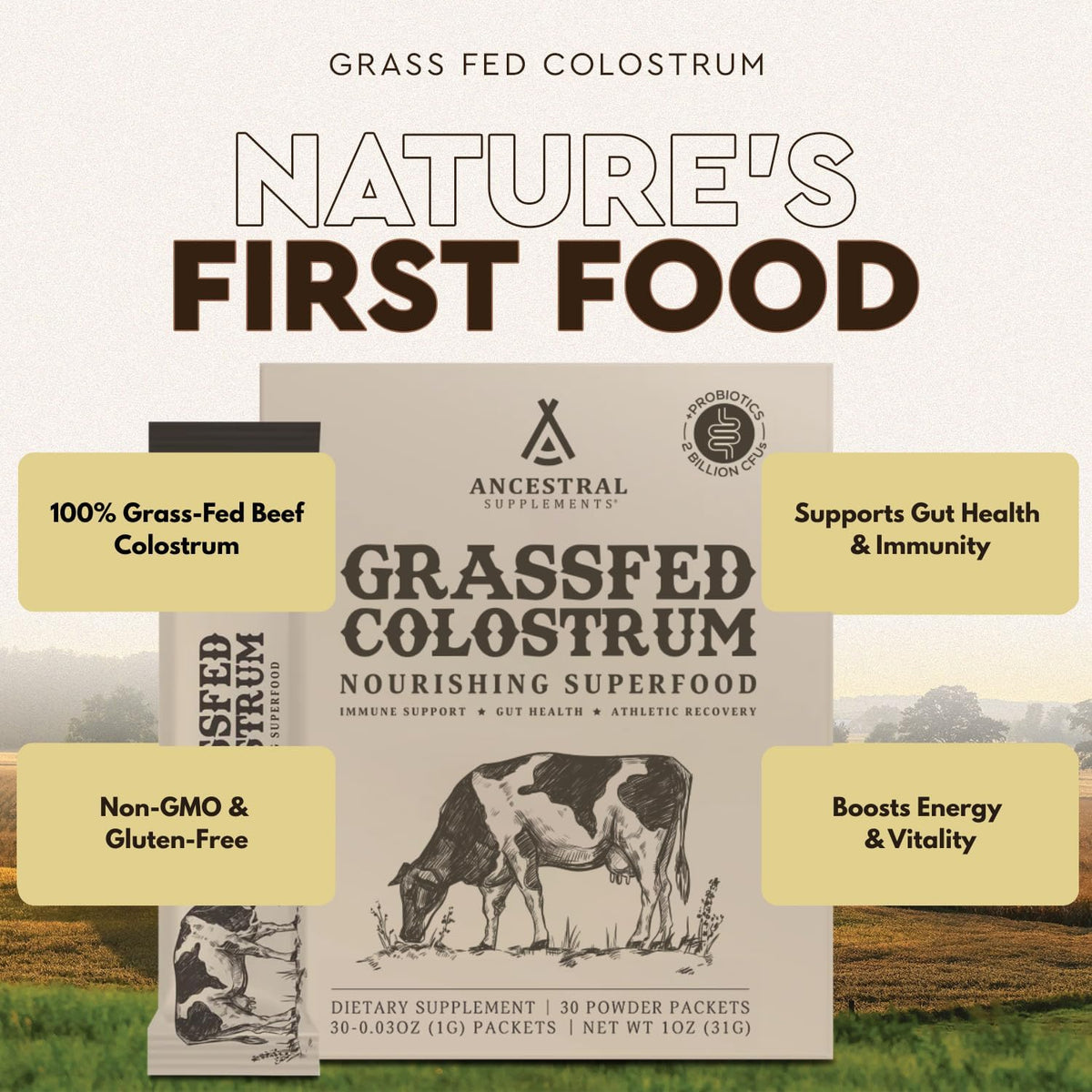 Ancestral Supplements Grass Fed Beef Bovine Colostrum Powder Packets, Immune & Gut Support, 30 Sticks, Unflavoured - görsel 3