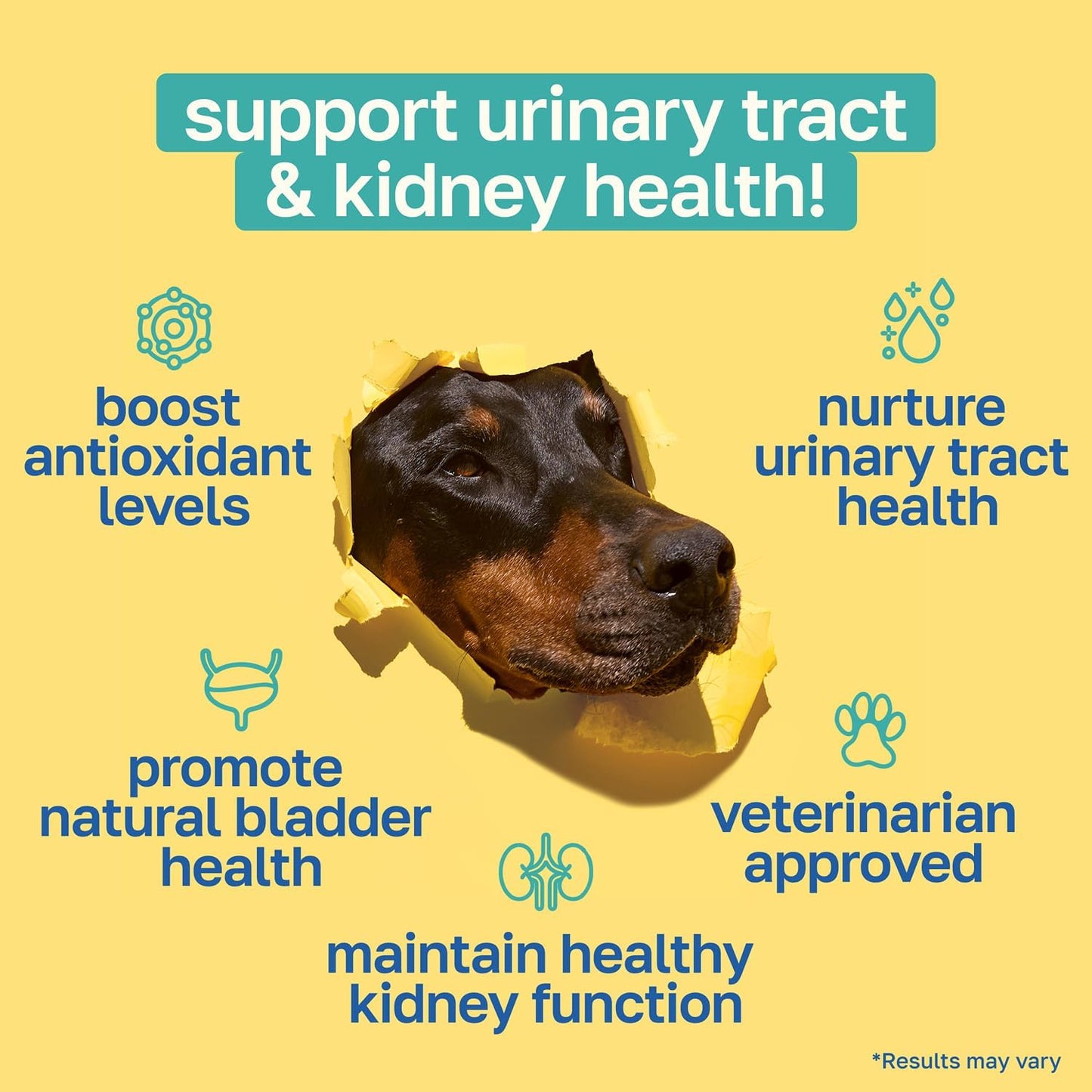 Happy Paws Bladder Supplement for Dogs – Urinary & Kidney Support with Cranberry, Soft Chews (100 Count) - görsel 2