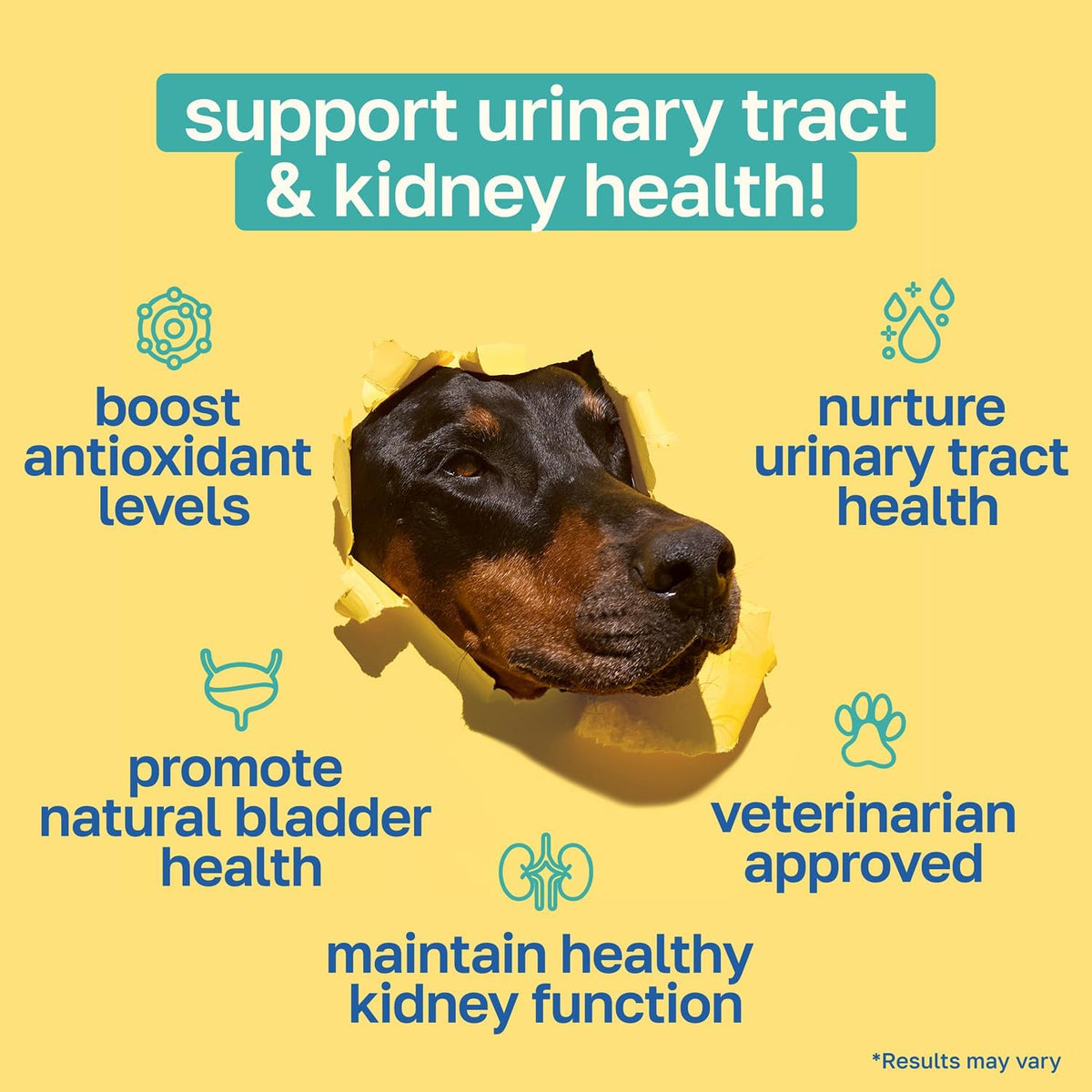 Happy Paws Bladder Supplement for Dogs – Urinary & Kidney Support with Cranberry, Soft Chews (100 Count) - görsel 2