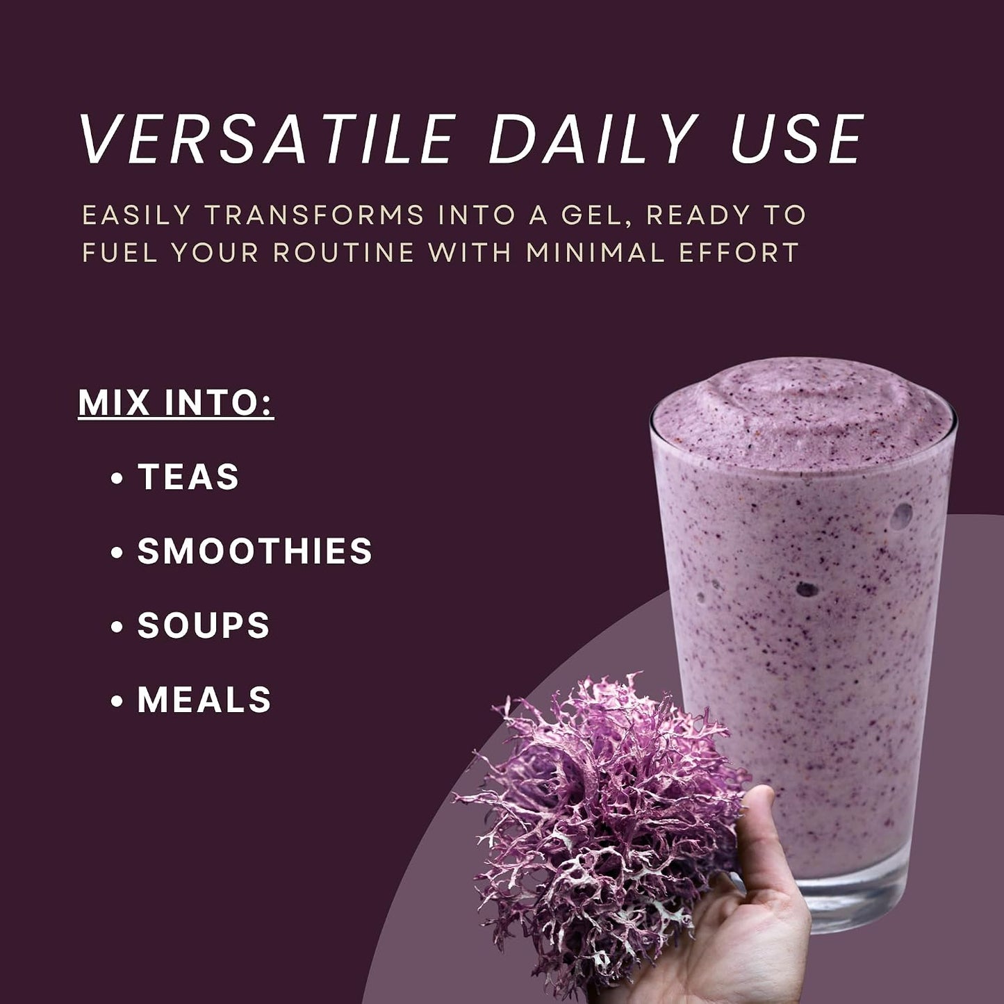USDA Organic Irish Sea Moss (Purple) - Wildcrafted Chondrus Crispus - Sustainably Harvested from Chile - Makes Approximately 2.8 Litres of Gel - Red's Pure Botanicals - görsel 6