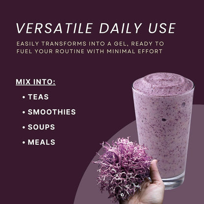 USDA Organic Irish Sea Moss (Purple) - Wildcrafted Chondrus Crispus - Sustainably Harvested from Chile - Makes Approximately 2.8 Litres of Gel - Red's Pure Botanicals