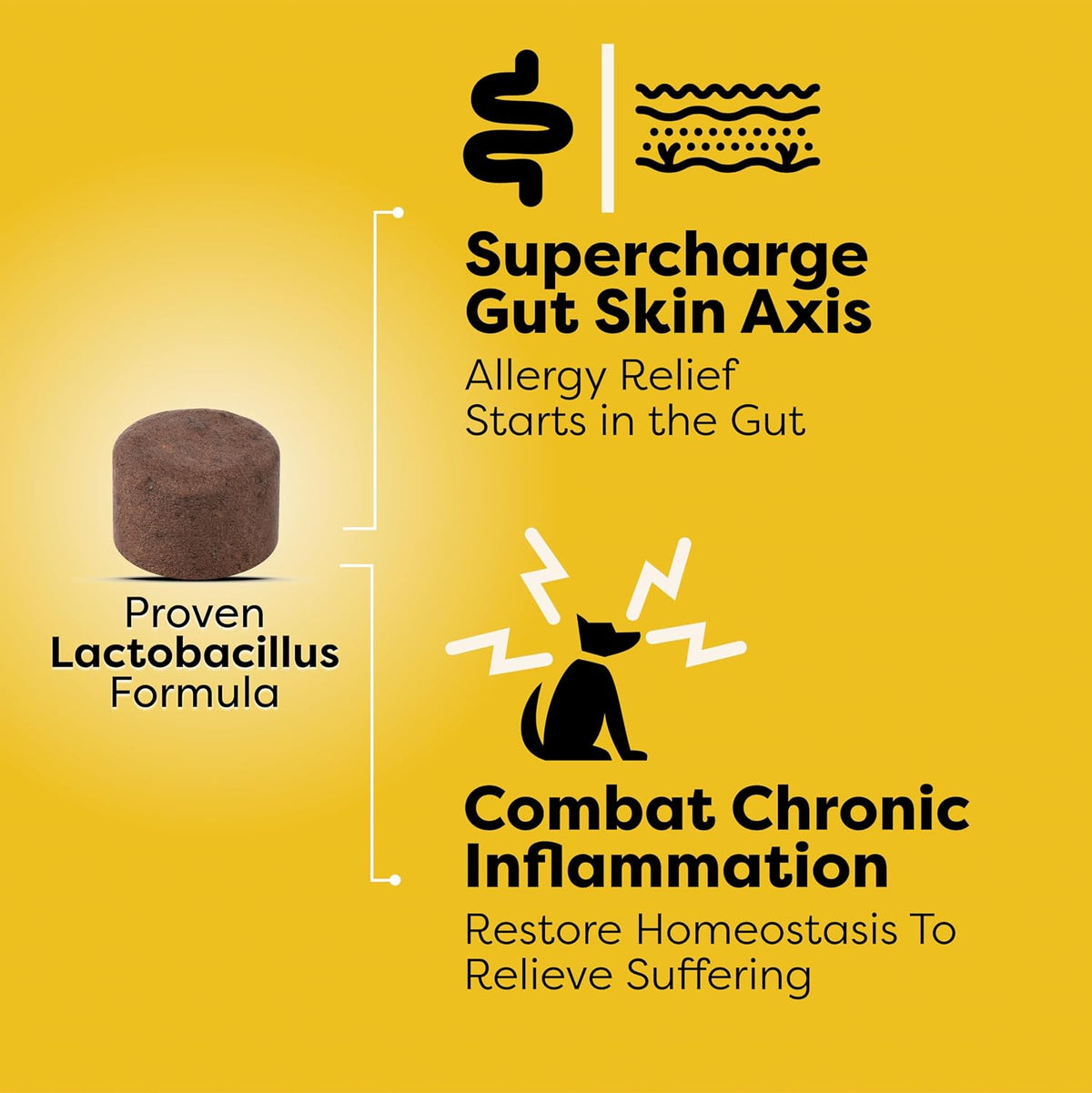 Doc Itchy Itch Recovery Dog Probiotic Chews | L. Sakei & L. Paracasei | Clinical-Strength | 90 Count - görsel 3