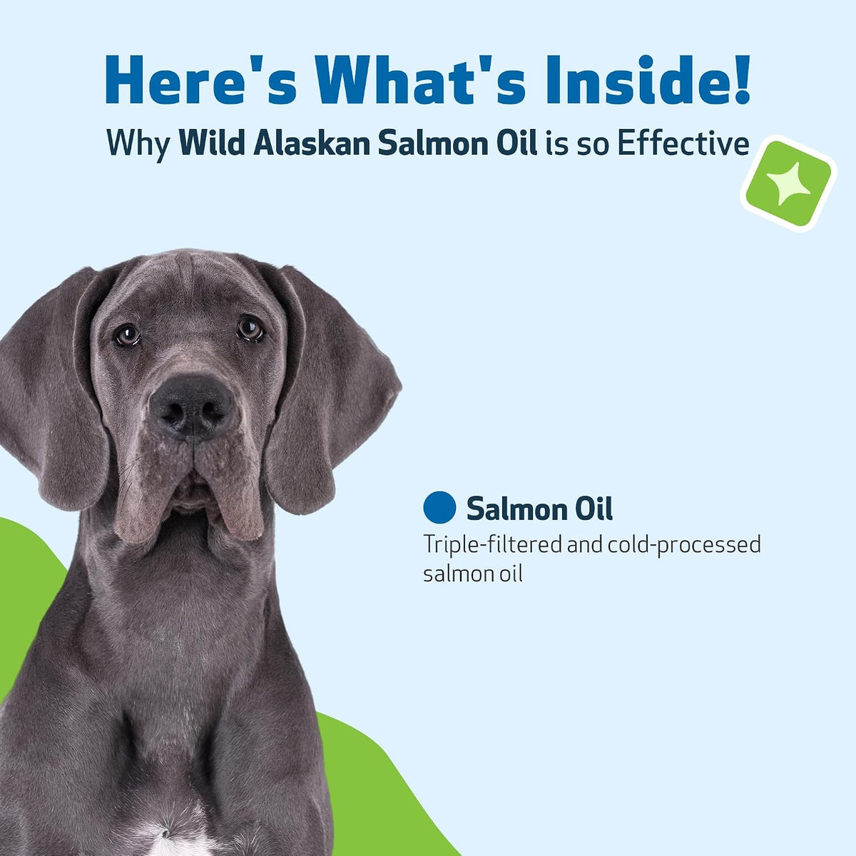 Pet Wellbeing Wild Alaskan Salmon Oil for Dogs - Omega 3 Fish Oil with EPA & DHA, Skin, Coat, Joint & Heart Health - NASC Certified & Vet Formulated - 16 oz Pump Bottle - görsel 6