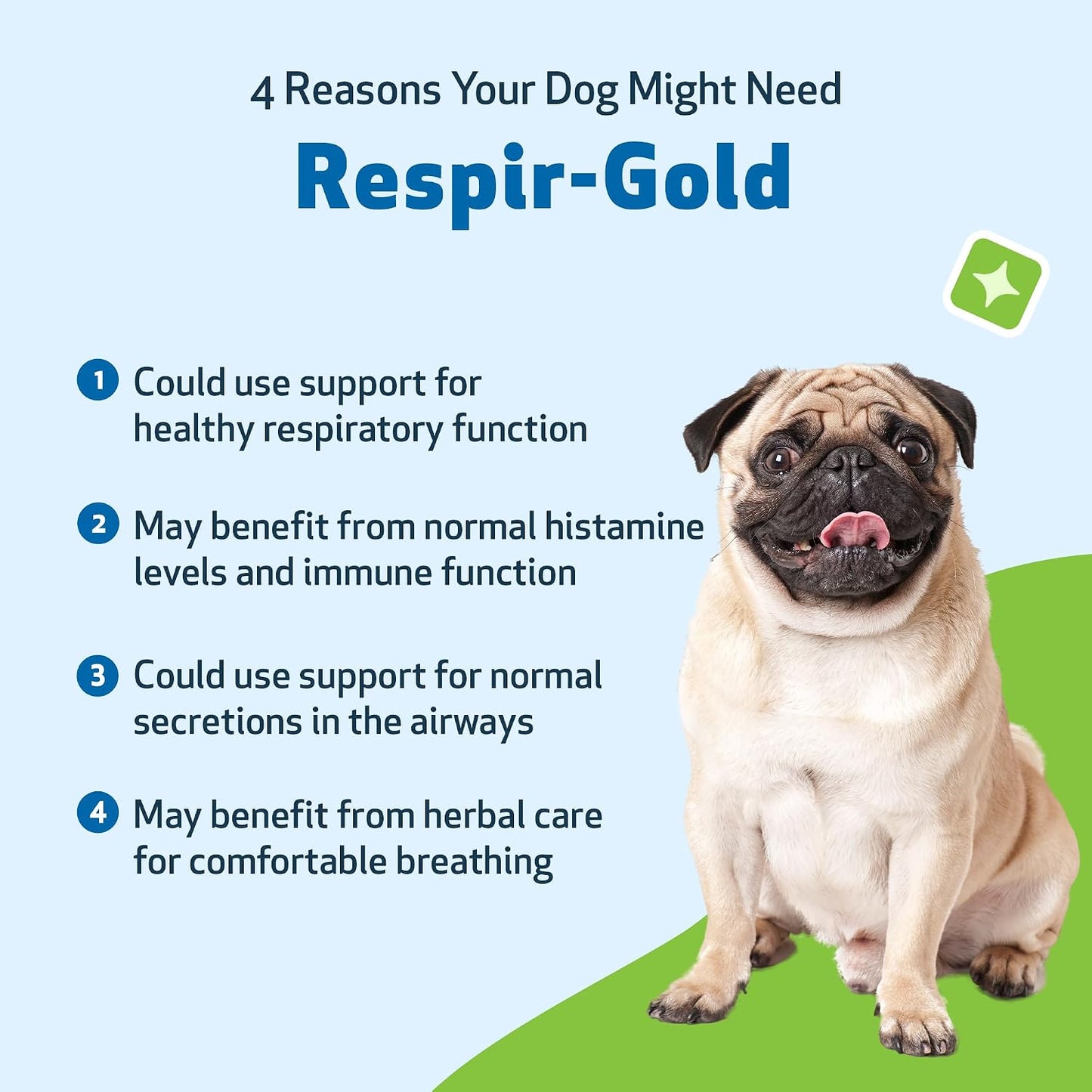 Pet Wellbeing Respir-Gold for Dogs - NASC Certified & Vet-Formulated Liquid Lower Respiratory & Lung Supplement with Black Cumin & Boswellia for Allergic Airway & Breathing, Natural Bacon Flavour, 118 ml - görsel 3