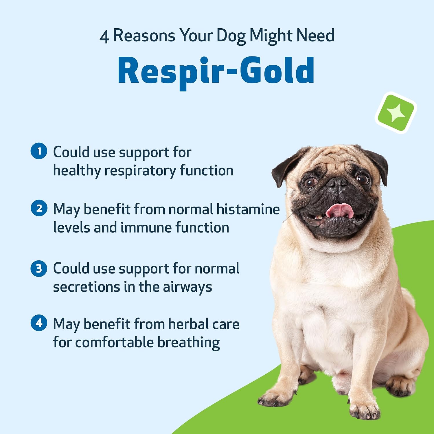 Pet Wellbeing Respir-Gold for Dogs - NASC Certified & Vet-Formulated Liquid Lower Respiratory & Lung Supplement with Black Cumin & Boswellia for Allergic Airway & Breathing, Natural Bacon Flavour, 118 ml - görsel 3