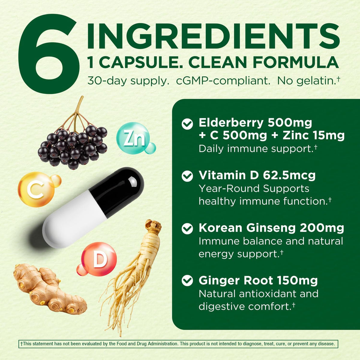 Immune Support 6-in-1 – Elderberry, Ginger, Korean Ginseng, Vitamin C 500mg, Vitamin D3 62.5μg, Zinc – Vegan Capsules – 30 Count - görsel 5