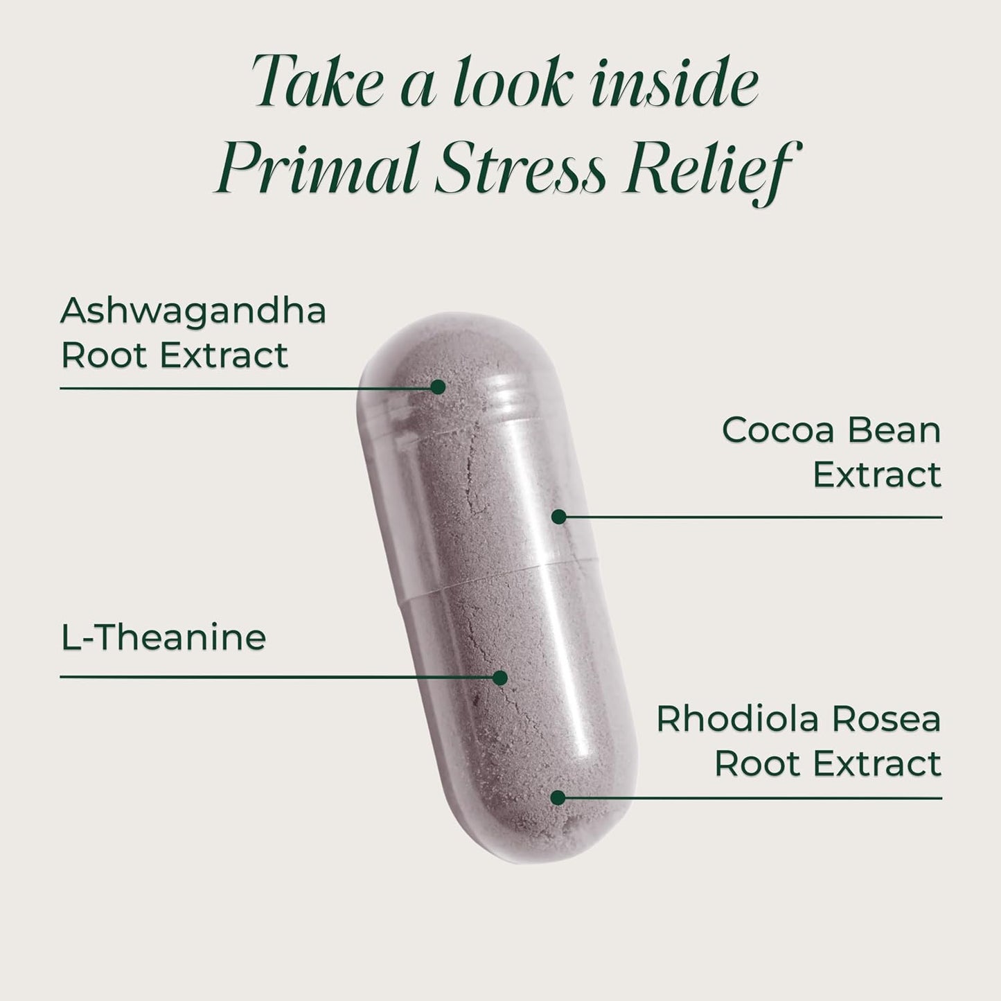 Primal Harvest Stress Relief – Daily Supplement with Ashwagandha, L-Theanine, Vitamin B6 | 60 Capsules - görsel 3