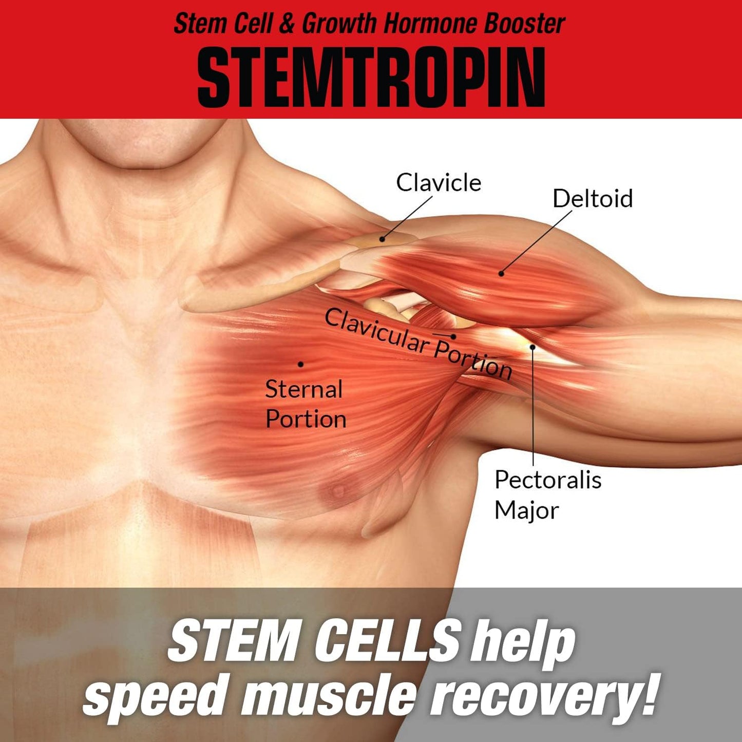 MuscleMeds STEMTROPIN – Stem Cell & Growth Factor Booster (60 Veggie Capsules) - görsel 4