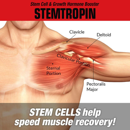 MuscleMeds STEMTROPIN – Stem Cell & Growth Factor Booster (60 Veggie Capsules)