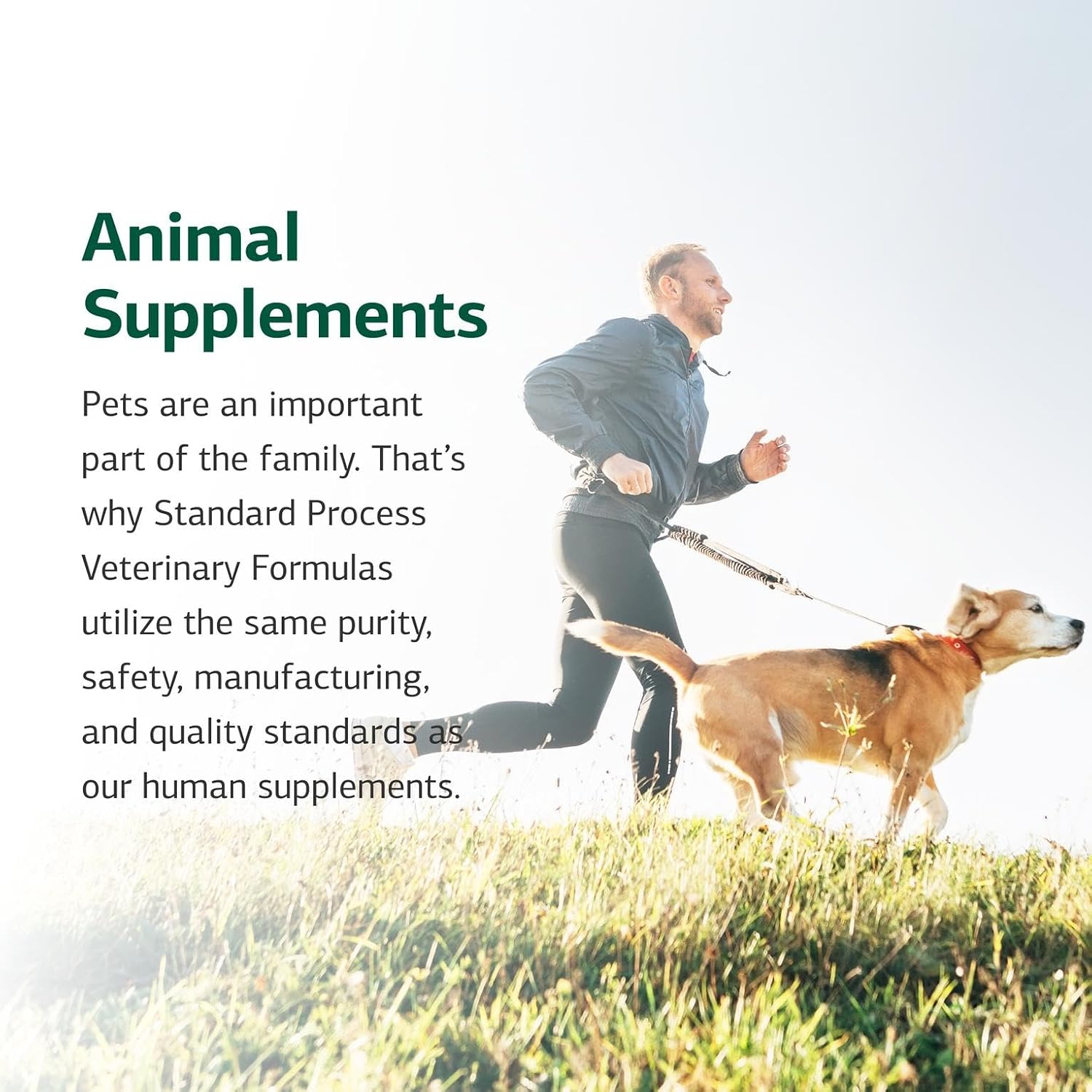 Standard Process Canine Adrenal Support - Nutritional Supplement for Dogs, 25g Powder - görsel 6