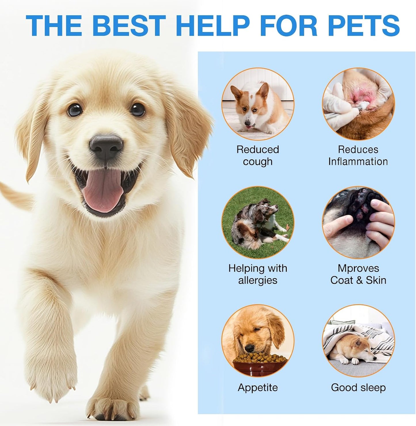 Kennel Cough Treatment Drops for Dogs, Natural Dog Supplement Herbal Kennel Cough Drops for All Breeds & Size Dog - görsel 3