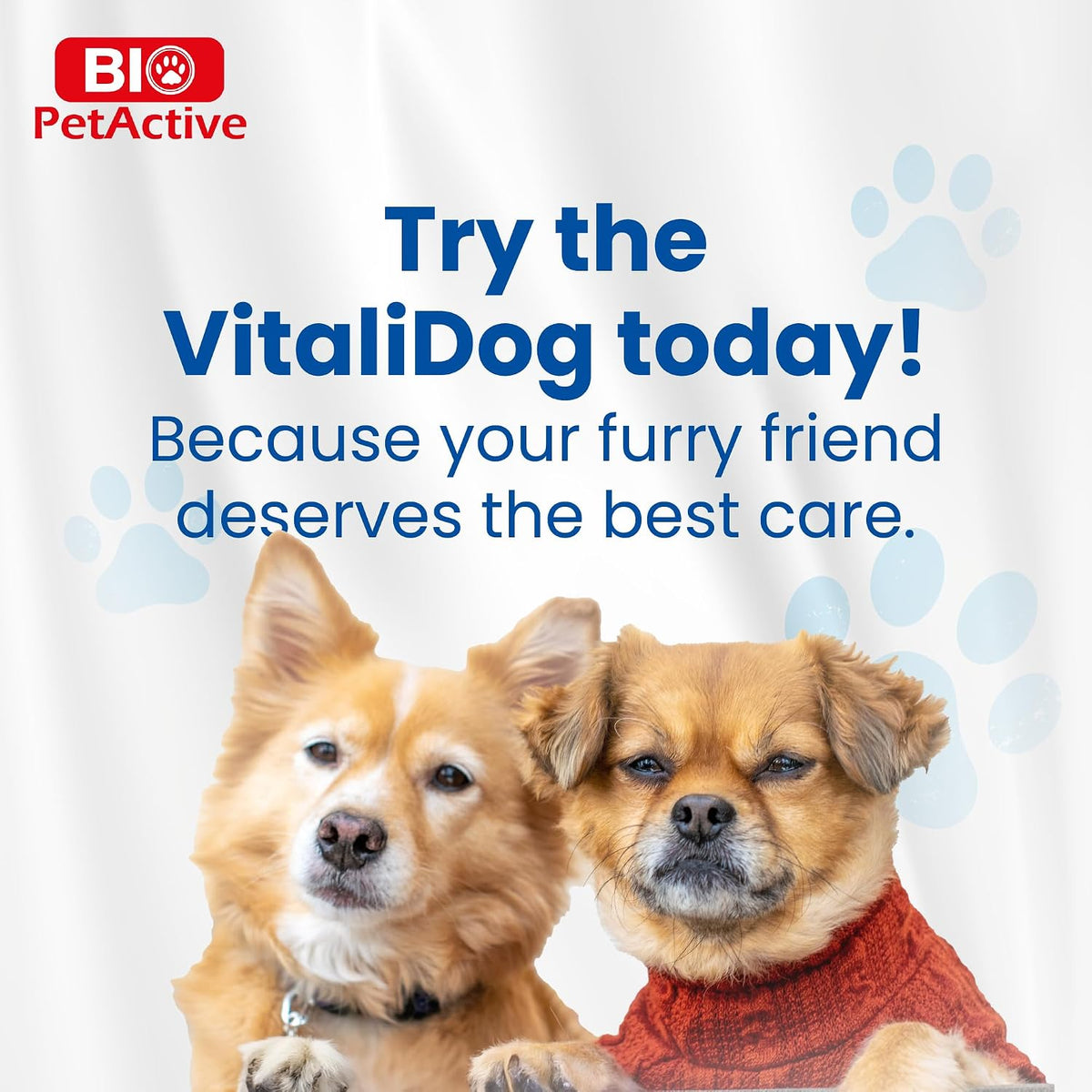 Bio PetActive VitaliDOG Multivitamin Chews for Dogs - 150 Chewable Tablets - görsel 7