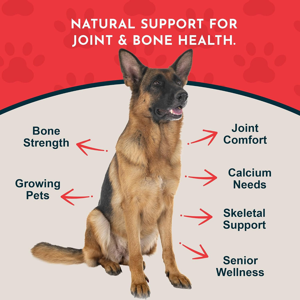 Sea-Cal Pure Seaweed Calcium Powder for Dogs – High digestibility – requires smaller serving sizes for effective – Image 3