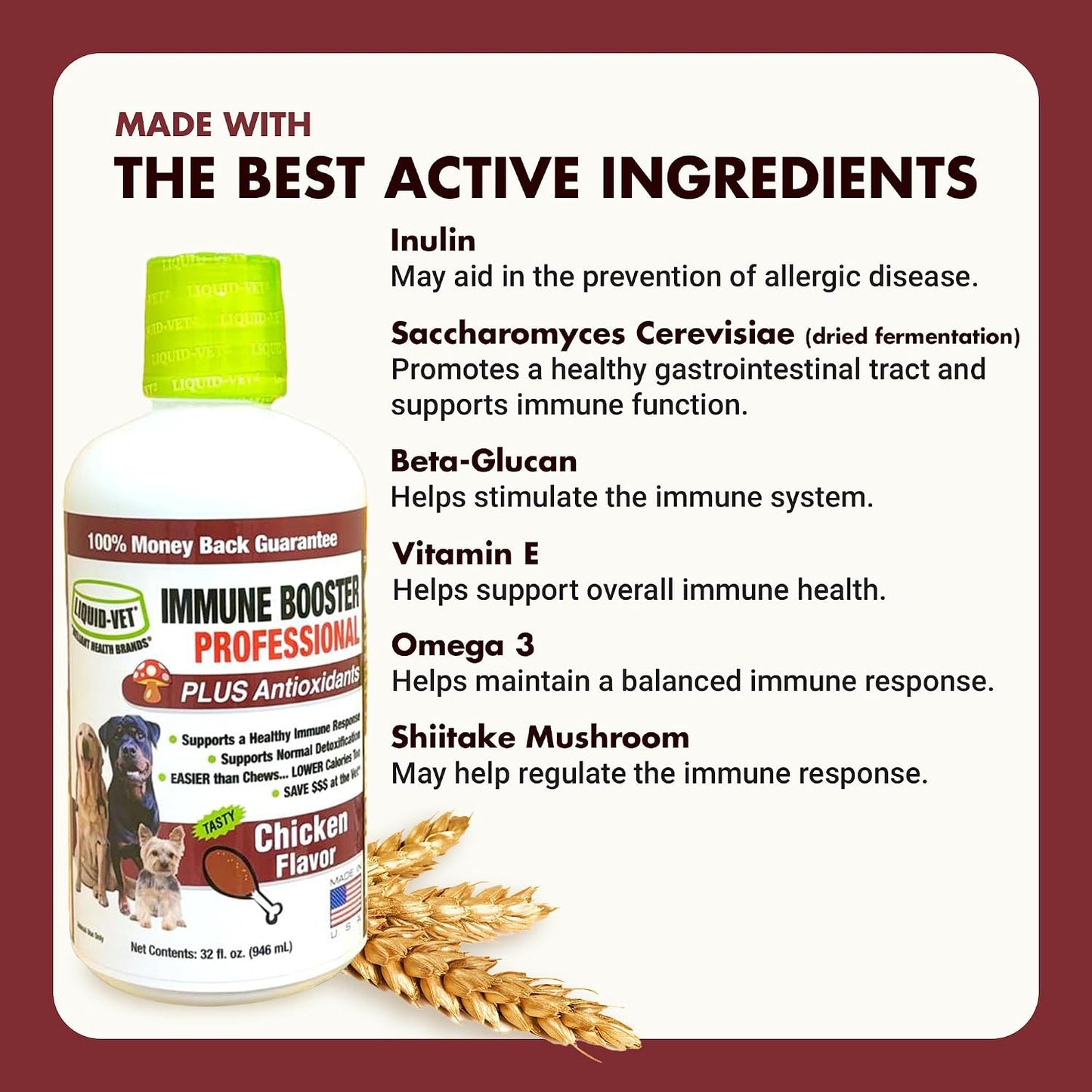 Liquid-Vet Immune Support for Dogs – Antioxidant Protection & Gut Health – Inulin, Beta-Glucan & Omega-3s / Fish Oil & More – Made for Picky Eaters - görsel 4
