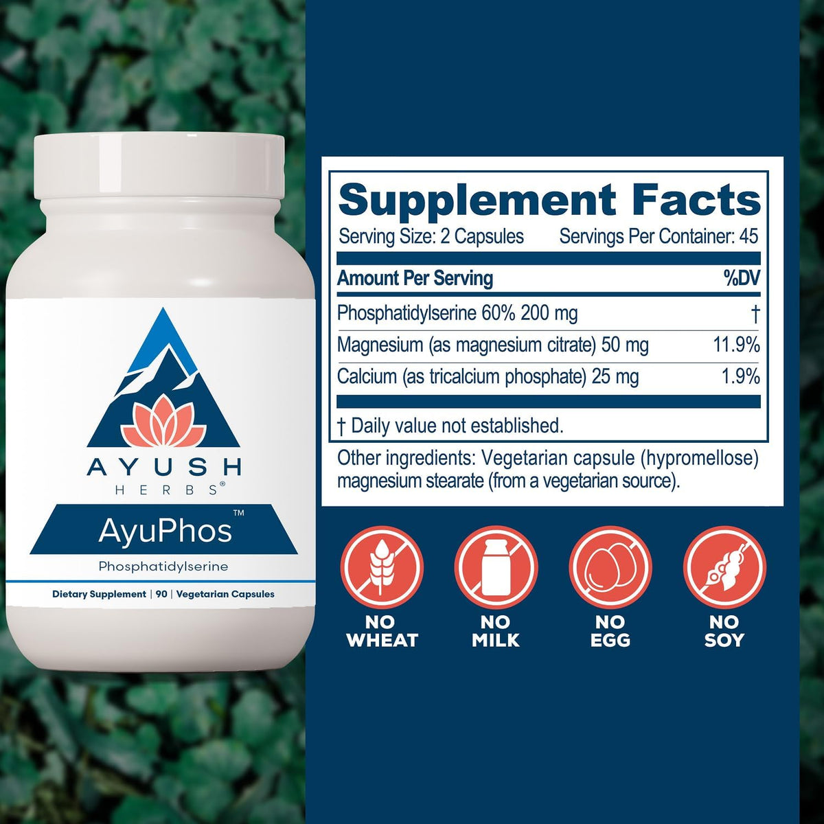 Ayush Herbs AyuPhos - Phosphatidylserine Supplement for Brain and Memory Support (200mg, 45 Capsules) - görsel 3