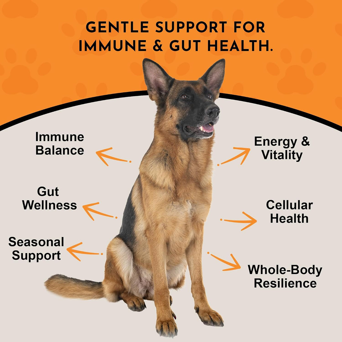 Animal Essentials Combat Turkey Tail Mushroom Supplement for Dogs & Cats – Organic Mushroom Powder Extract, Immune & Cognitive Support (70 g) - görsel 3