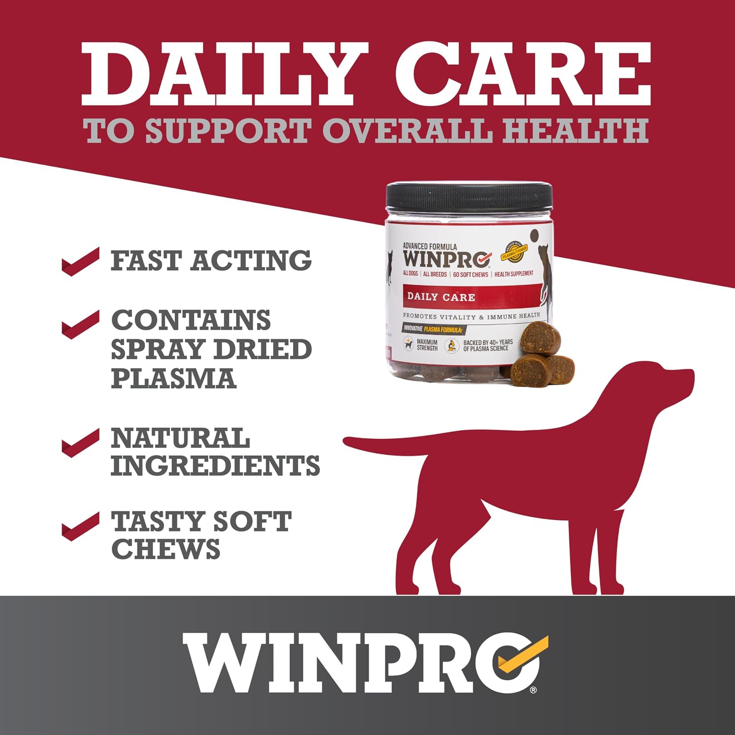 WINPRO Pet Daily Care Chews for Dogs (60 Soft Chews) - Plasma-Powered Immune Support - görsel 4