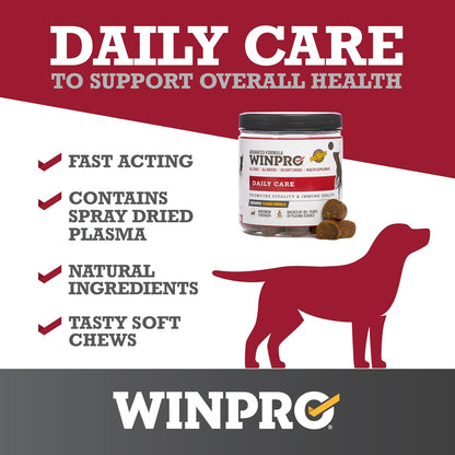 WINPRO Pet Daily Care Chews for Dogs (60 Soft Chews) - Plasma-Powered Immune Support