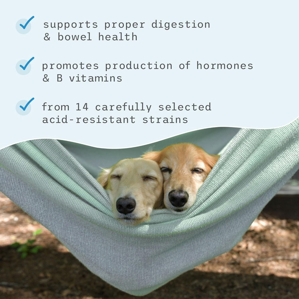 Bark & Whiskers Complete Probiotics for Cats and Dogs, 90 g (3.17 oz) - görsel 5