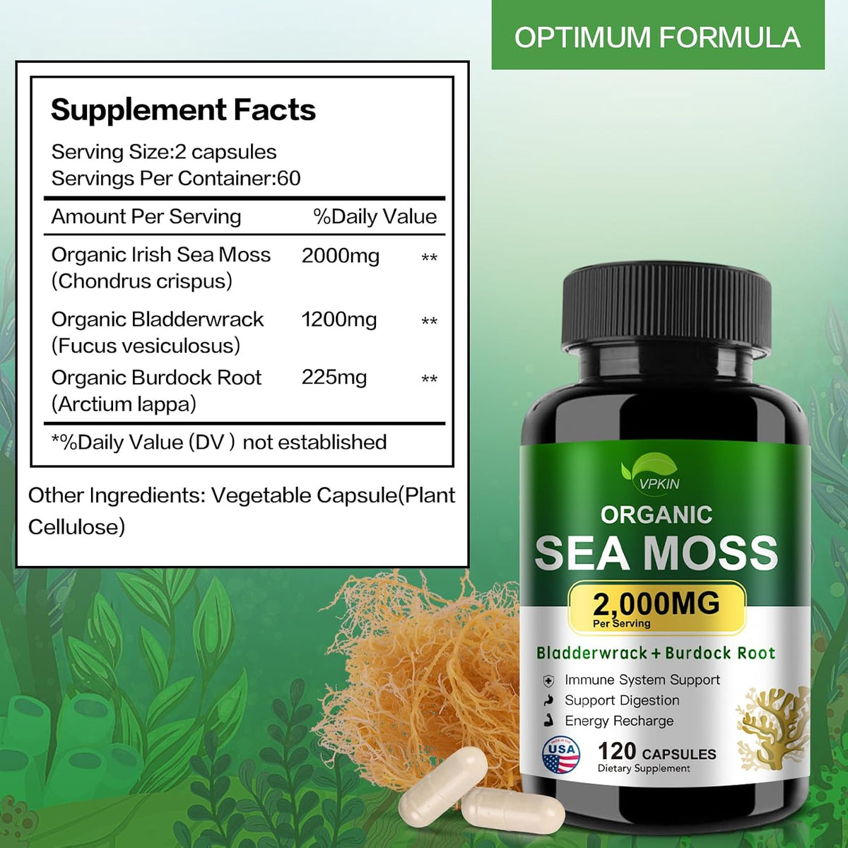 VPKIN Organic Sea Moss Capsules with Bladderwrack, Burdock Root and Black Pepper Extract – Irish Sea Moss Capsules 2000mg – Supports Immune System, Thyroid Health (120 Capsules) - görsel 3