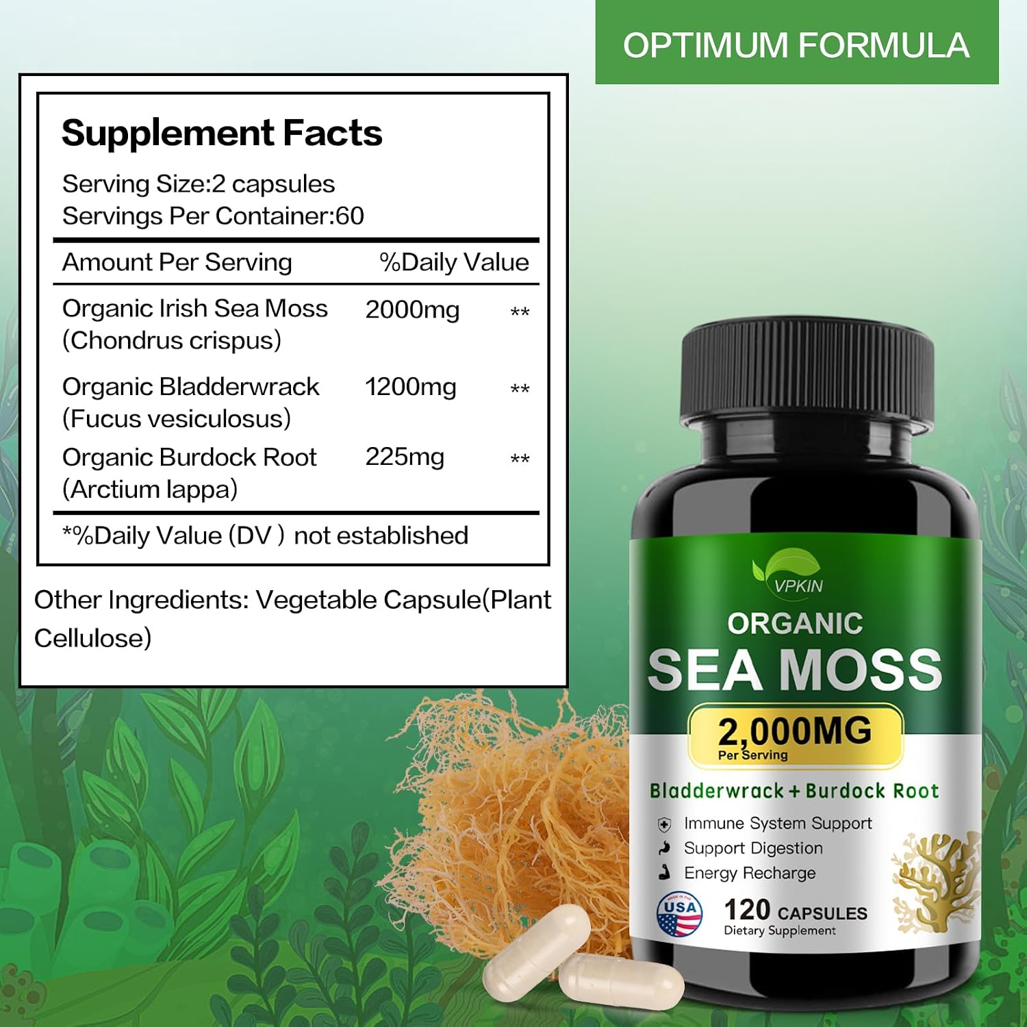 VPKIN Organic Sea Moss Capsules with Bladderwrack, Burdock Root and Black Pepper Extract – Irish Sea Moss Capsules 2000mg – Supports Immune System, Thyroid Health (120 Capsules) - görsel 3
