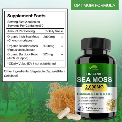 VPKIN Organic Sea Moss Capsules with Bladderwrack, Burdock Root and Black Pepper Extract – Irish Sea Moss Capsules 2000mg – Supports Immune System, Thyroid Health (120 Capsules)