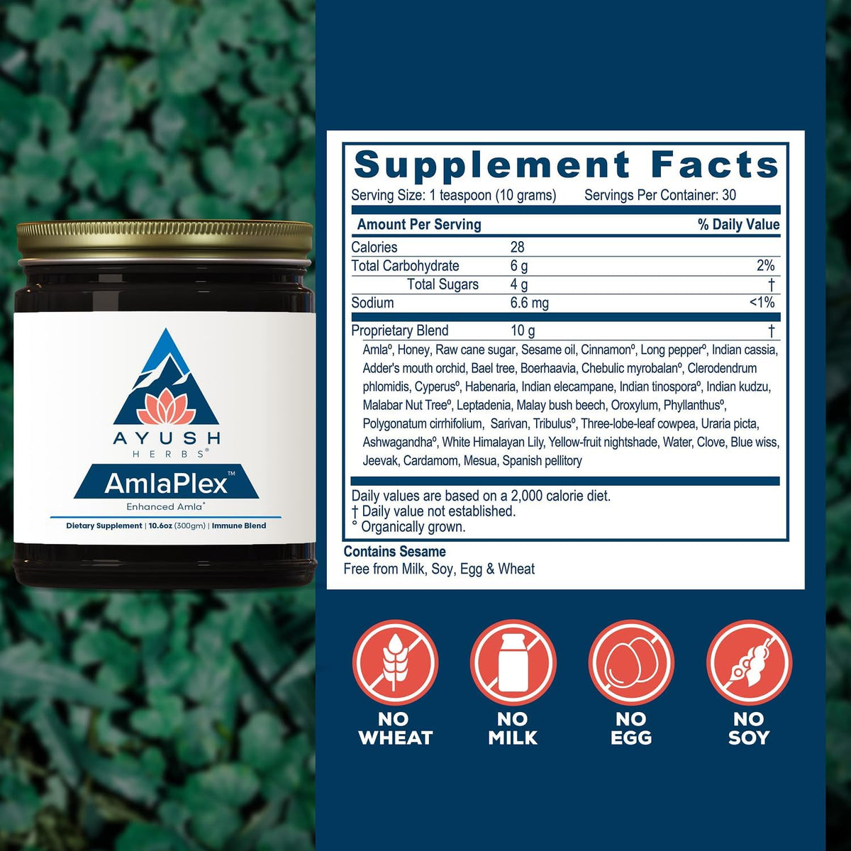 Ayush Herbs AmlaPlex – Amla Jam with Ashwagandha, 30 Servings - görsel 3