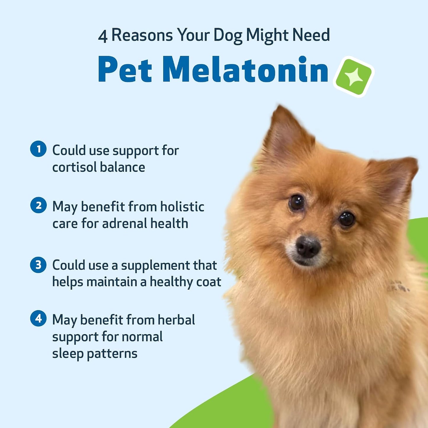 Pet Wellbeing Pet Melatonin for Dogs - Supports Adrenal Health, Cortisol Balance, Helps Maintain Normal Sleep Patterns - Veterinarian-Formulated Liquid Supplement 2 fl oz (59 ml) - görsel 9