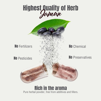 Jamun Capsules – Eugenia Jambolana Seed Extract (10:1) – 60 Vegan Capsules