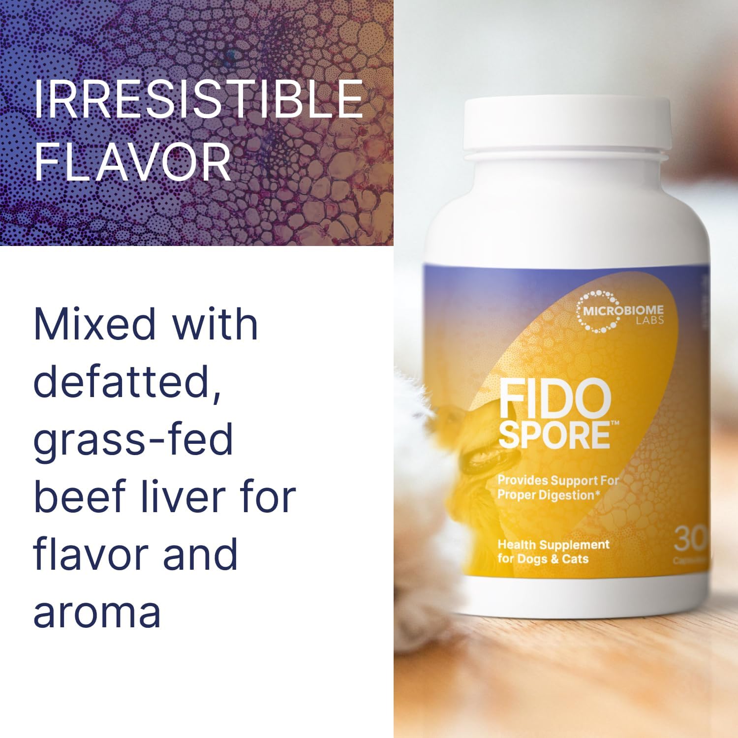 Microbiome Labs Fidospore Dog Probiotics – Spore-Forming Digestive & Immune Support (30 Capsules) - görsel 4