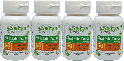 Shallaki Forte Capsules 500 mg – Boswellia Serrata Extract – 60 Vegan Capsules