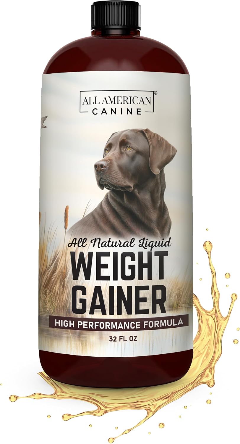 All American Canine Dog Weight Gainer Liquid – High Calorie Dog Food Supplement for Rapid Weight Gain, Mass, and Recovery – Appetite Stimulant (473 ml) - görsel 8