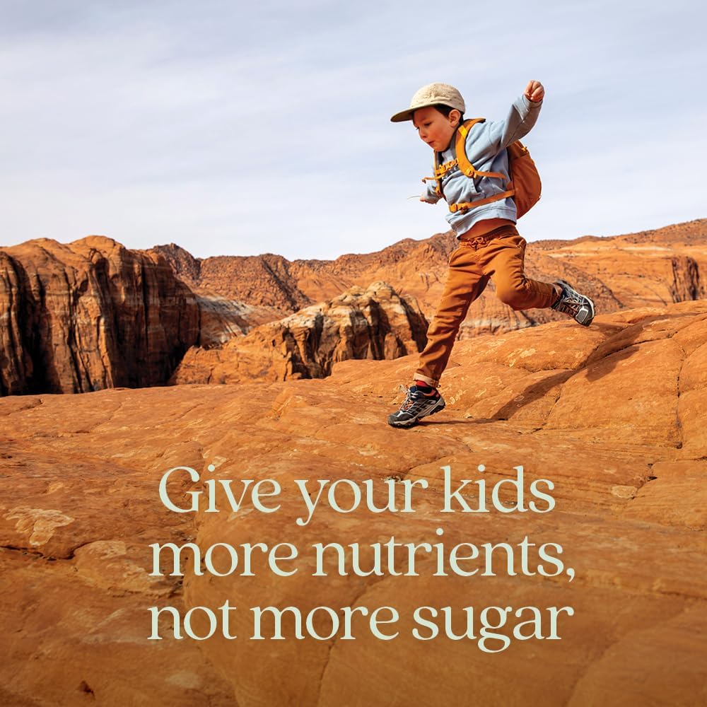 New Chapter Kids Multivitamin Gummies - 65% Less Sugar, Berry-Citrus, 60ct - görsel 4