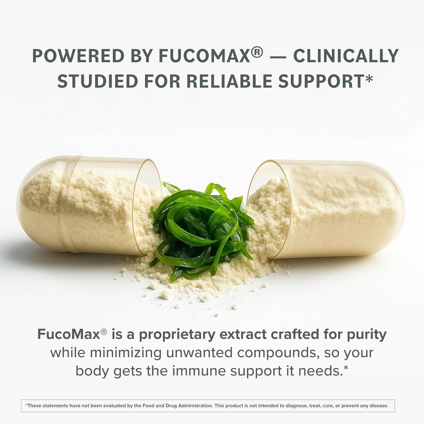 Prominent Nutrition Fucoidan Gut Health & Immune Support Food Supplement – 250mg, 60 Capsules - görsel 4