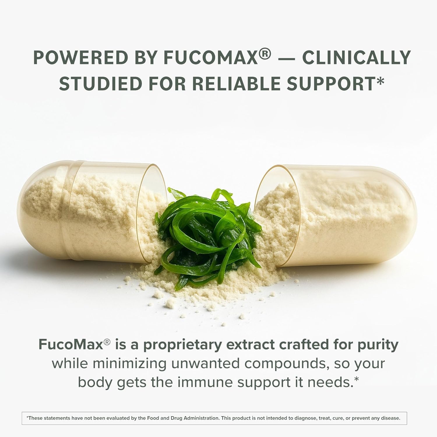 Prominent Nutrition Fucoidan Gut Health & Immune Support Food Supplement – 250mg, 60 Capsules - görsel 4