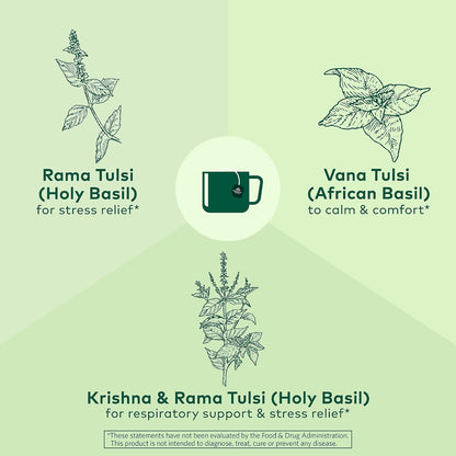 ORGANIC INDIA Tulsi Original Herbal Tea - Holy Basil & African Basil, For Relaxation, Traditional Immune Support, Organic, Non-GMO, Caffeine-Free - 18 Infusion Bags, 3 Pack