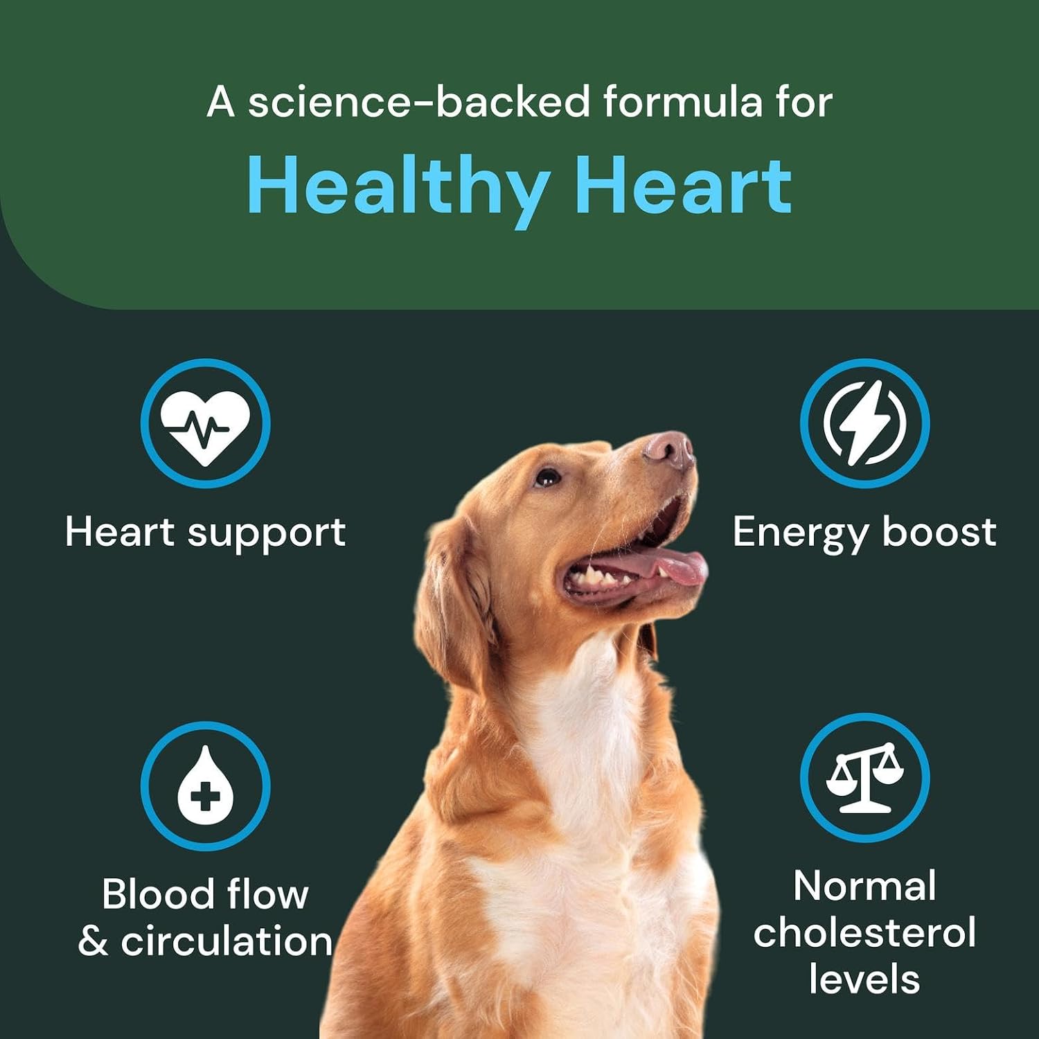 VETRISCIENCE Veterinary Strength Healthy Heart Chews – Heart & Energy Supplement for Pets – Cardiovascular Support – Chicken Flavour – 60 Count - görsel 4