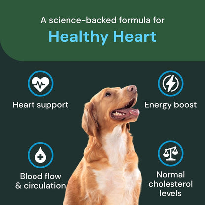 VETRISCIENCE Veterinary Strength Healthy Heart Chews – Heart & Energy Supplement for Pets – Cardiovascular Support – Chicken Flavour – 60 Count