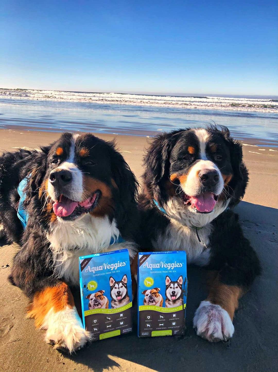 Superfood from the Sea for Pets - Daily Superfood Sachets for Medium & Large Dogs (Month's Supply) - görsel 6