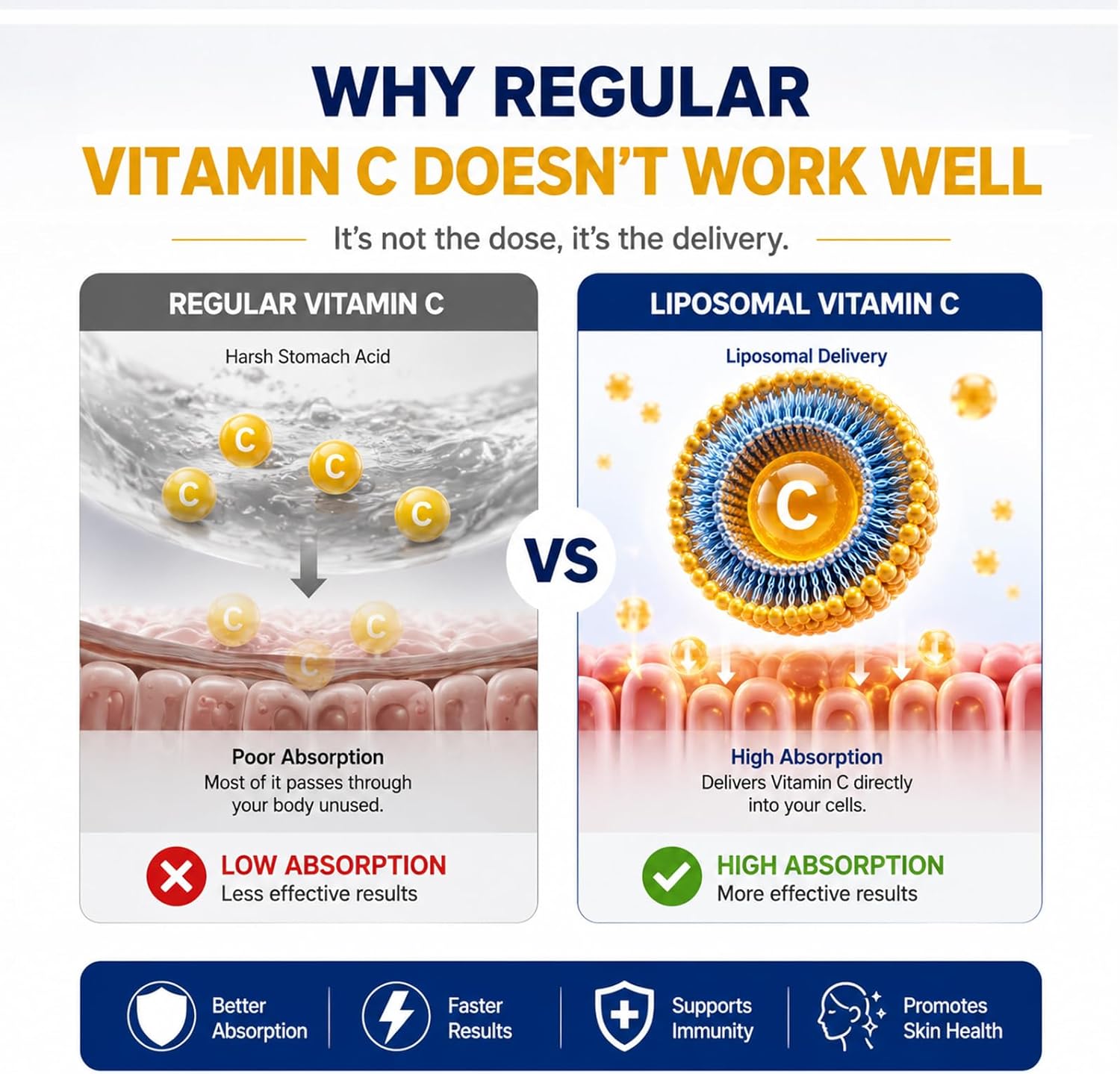 Cellqueue Liposomal Vitamin C Liquid 500 mg – Superior Absorption Food Supplement - görsel 3