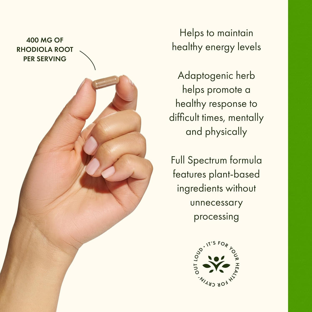 Swanson Rhodiola Rosea Root - Adaptogenic Herb Supplement for Stress Support and Energy - 400 mg, 100 Capsules - görsel 3