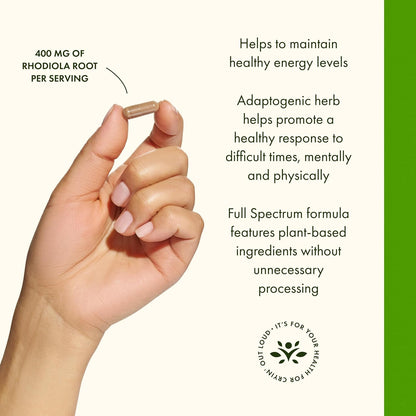 Swanson Rhodiola Rosea Root - Adaptogenic Herb Supplement for Stress Support and Energy - 400 mg, 100 Capsules