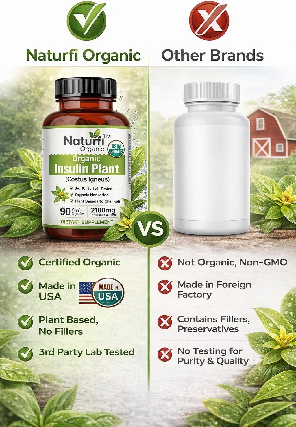 Naturfi Organic Insulin Plant Capsules (Costus Igneus) - Certified Organic, 90 Veggie Caps - görsel 4